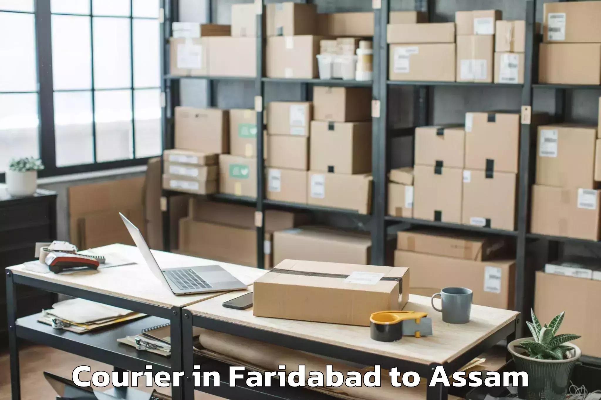 Leading Faridabad to Namrup Courier Provider